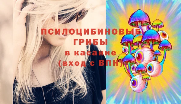дживик Верея
