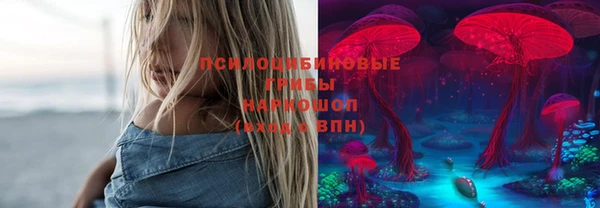 ПСИЛОЦИБИНОВЫЕ ГРИБЫ Бугульма