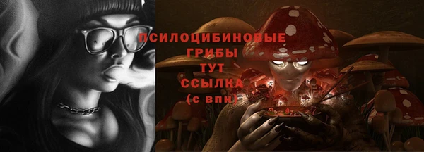 дживик Туринск