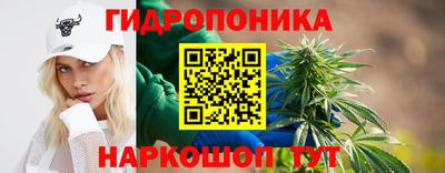 гидропоника Донской