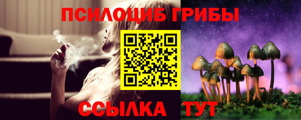 Наро-Фоминск  Галлюциногенные грибы Cubensis  Вход с VPN 